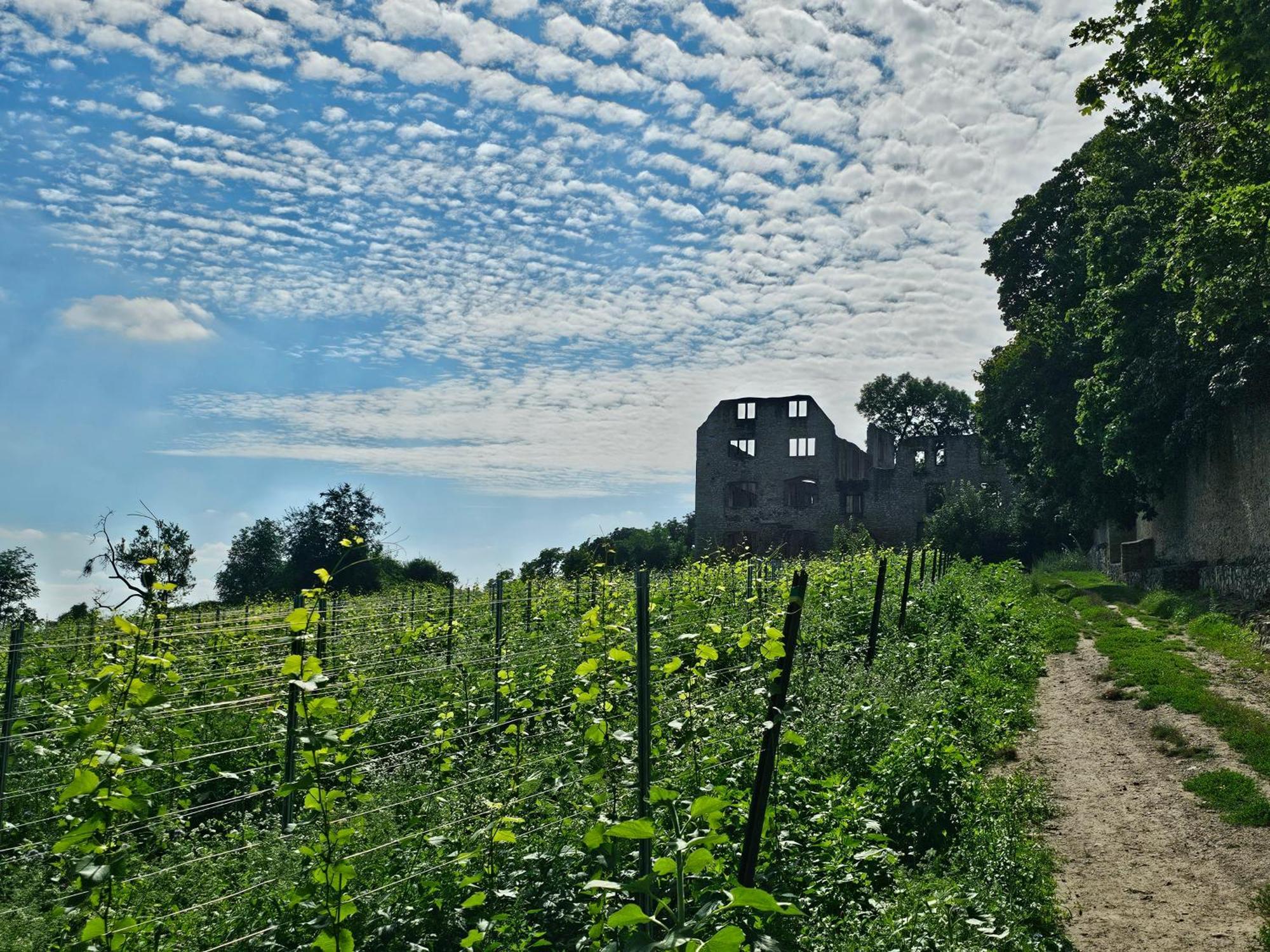 Moderne Doppelhaushaelfte In Oppenheim别墅 外观 照片